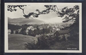 DELNICE STARA RAZGLEDNICA